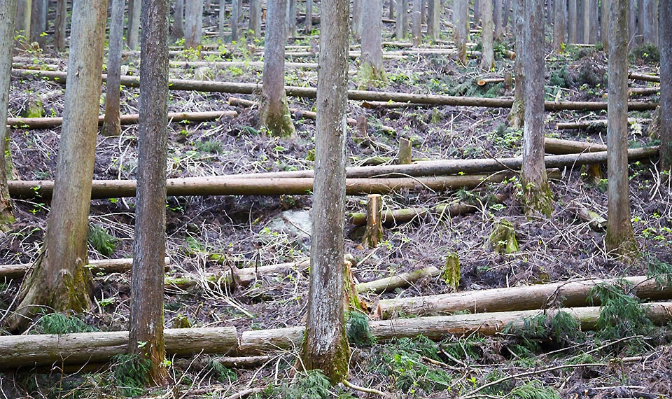 ソーシャルレンディング,クラウドファンディング,クラウドバンク