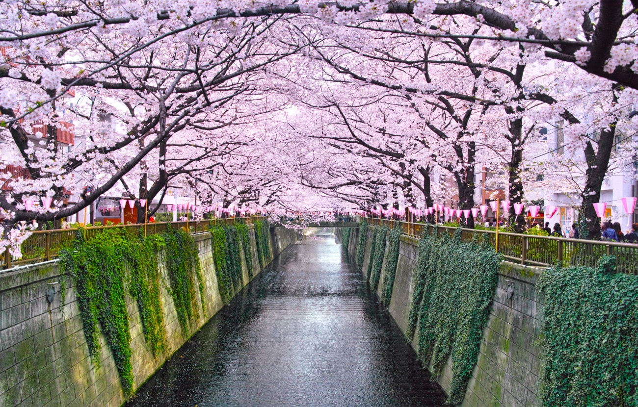 ソーシャルレンディング,クラウドファンディング,クラウドバンク