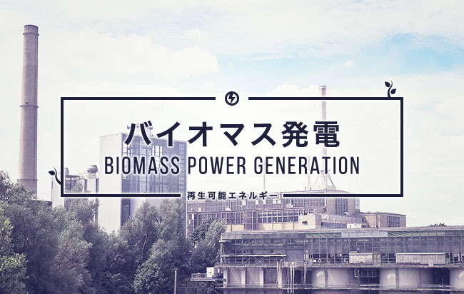 バイオマス発電ファンド第137号