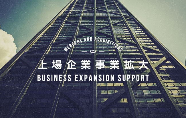 上場企業事業拡大支援ファンド第193号