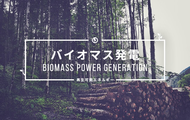 バイオマス発電ファンド第269号