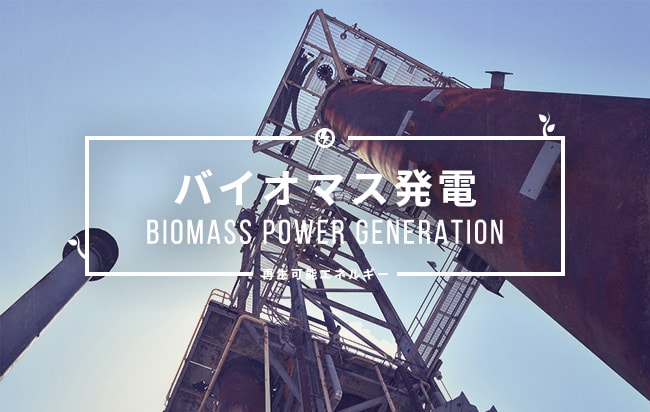 バイオマス発電ファンド第325号