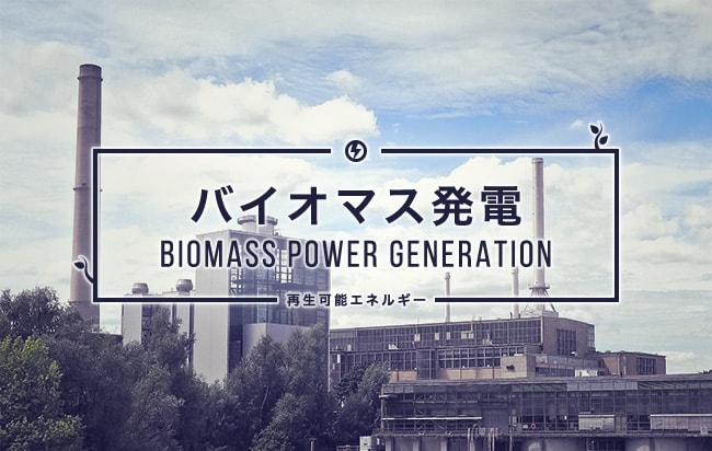 バイオマス発電ファンド第339号