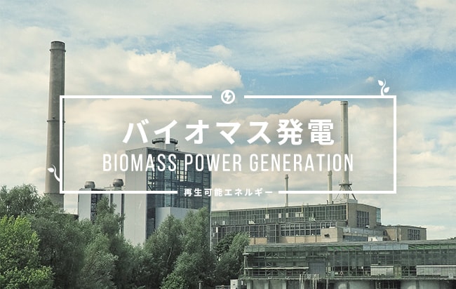 バイオマス発電ファンド第376号