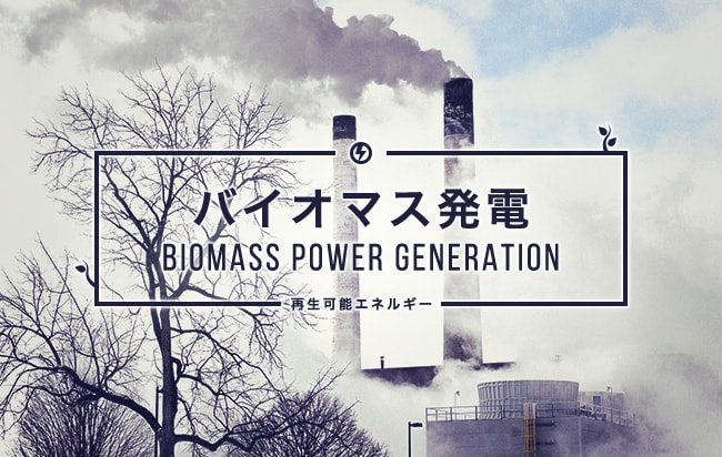 バイオマス発電ファンド第377号