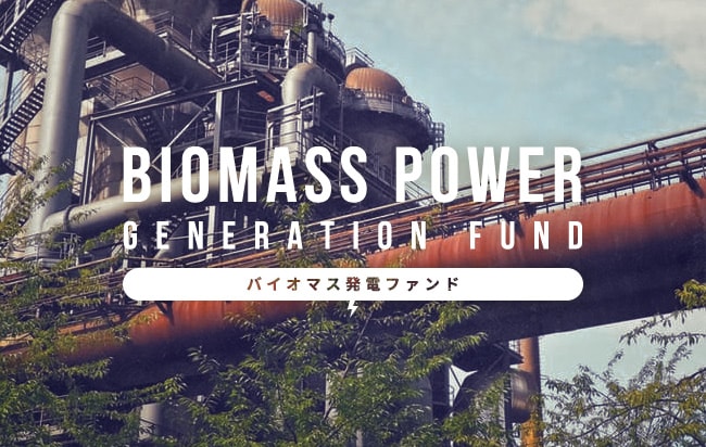 バイオマス発電ファンド第384号
