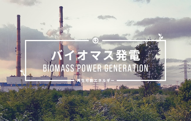 バイオマス発電ファンド第395号