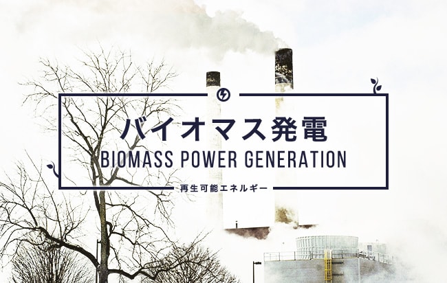 バイオマス発電ファンド第399号