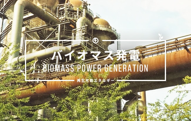 バイオマス発電ファンド第401号