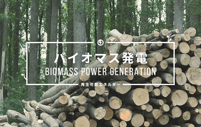 バイオマス発電ファンド第403号